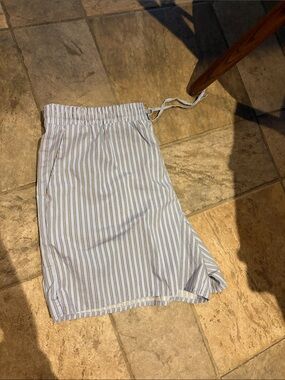 Express White and Blue Striped Women’s Shorts